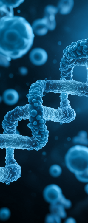 Login Dna